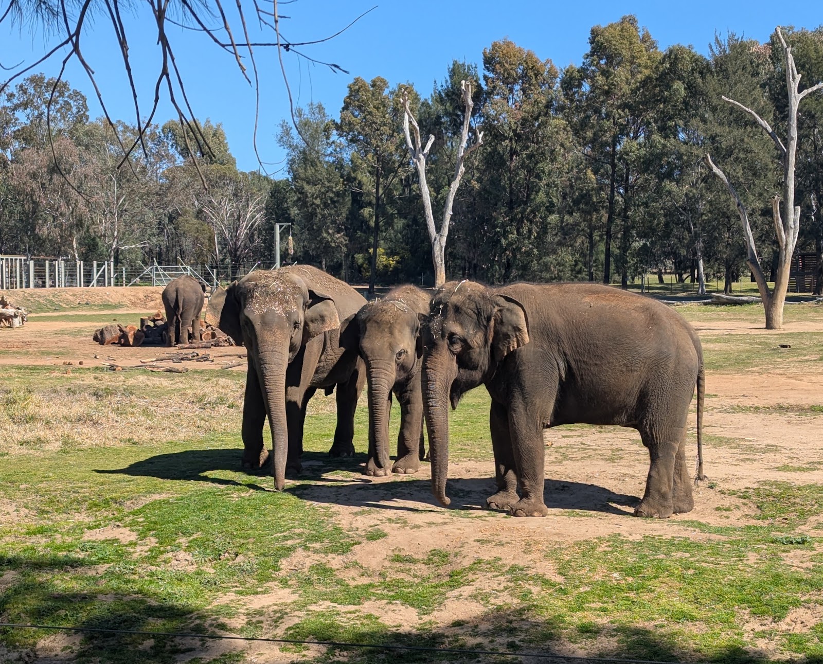 Family Holidays in Dubbo: Why It's One of NSW's Best Trips With Kids