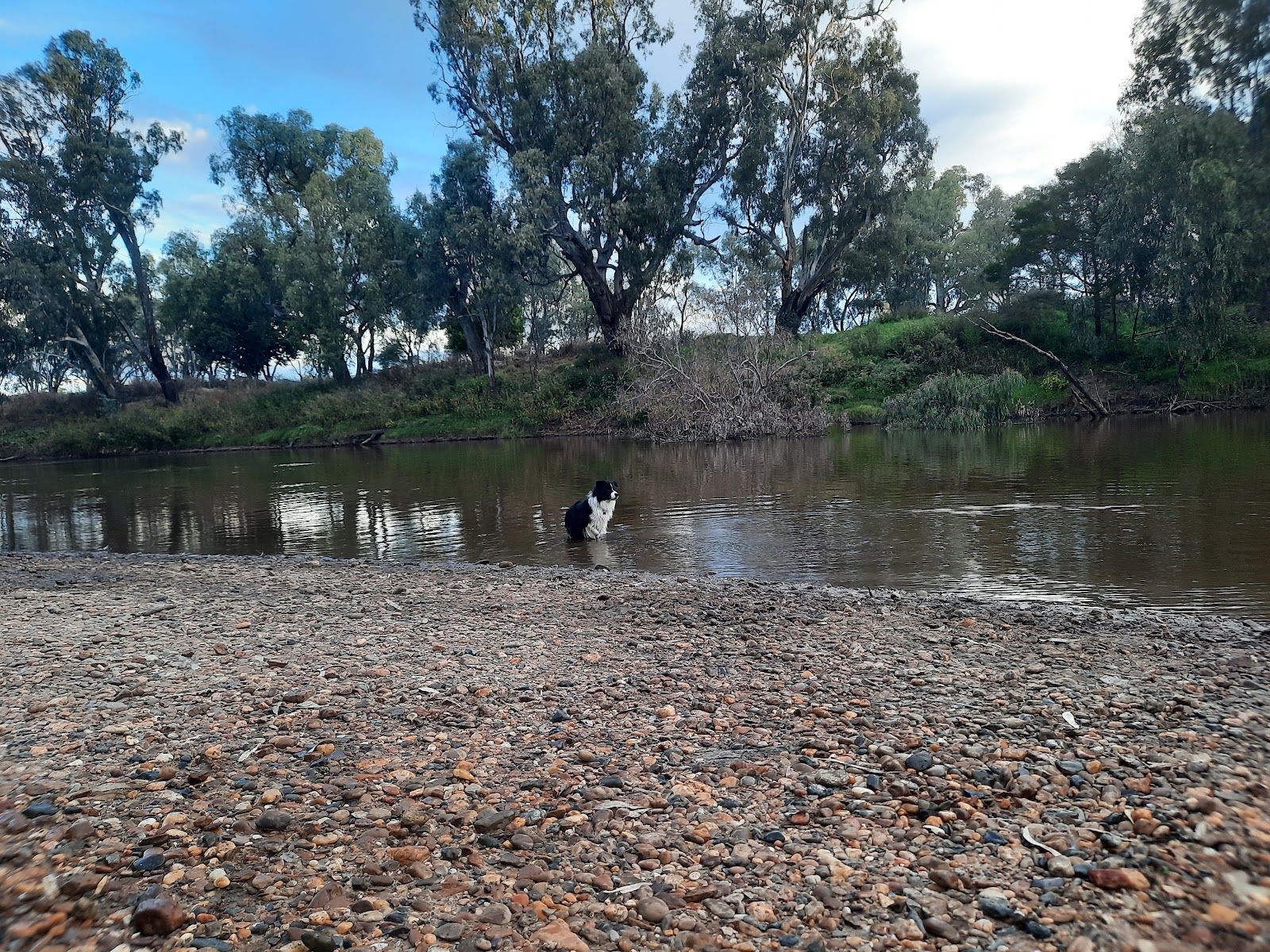 Licences, family fishing and caring for the native fishery