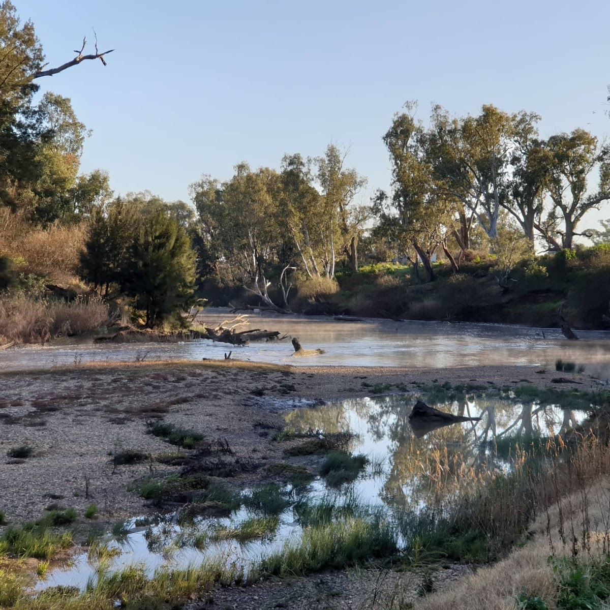 Why Dubbo’s Best Free Experiences Are So Good