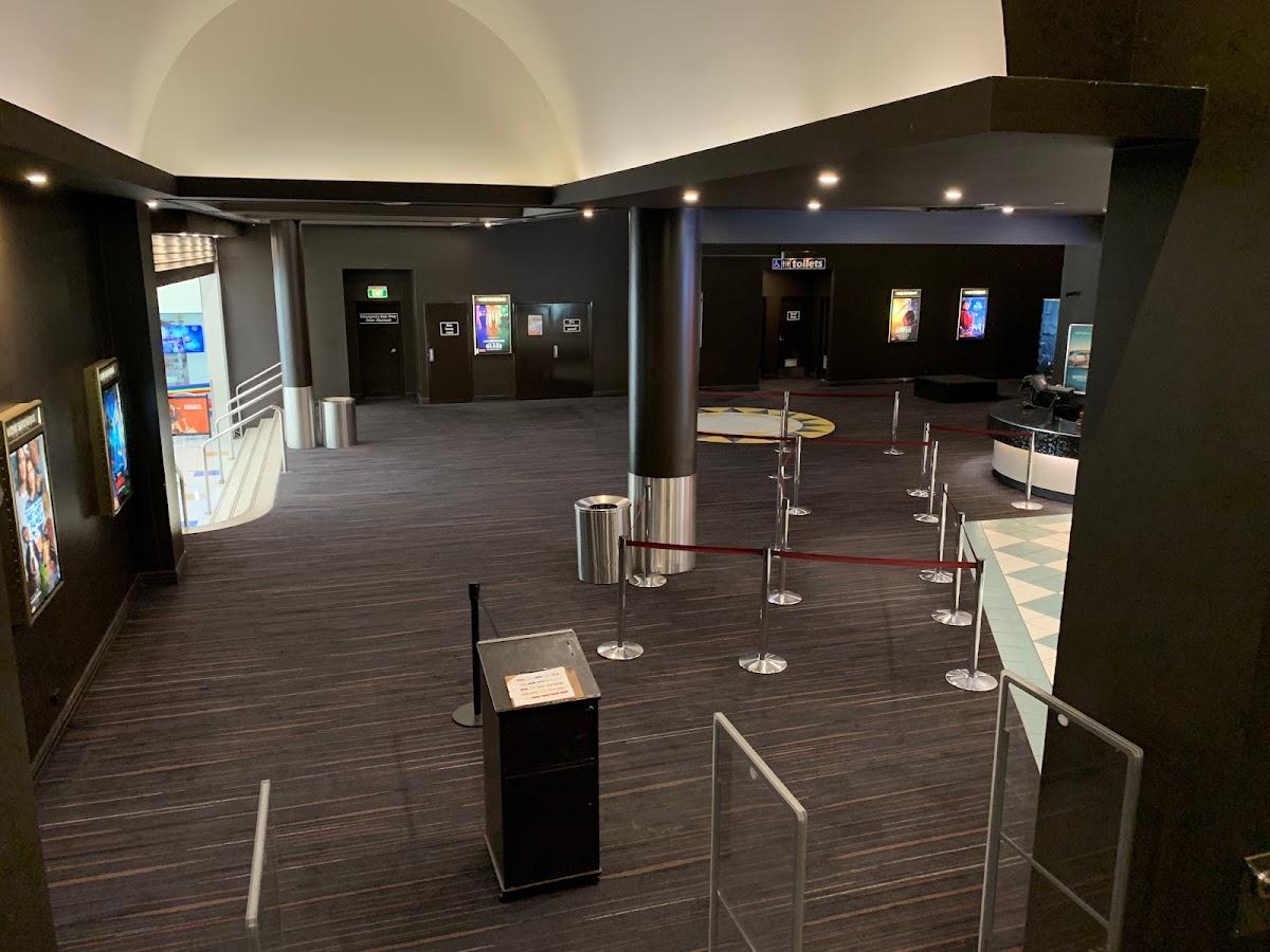The cinema