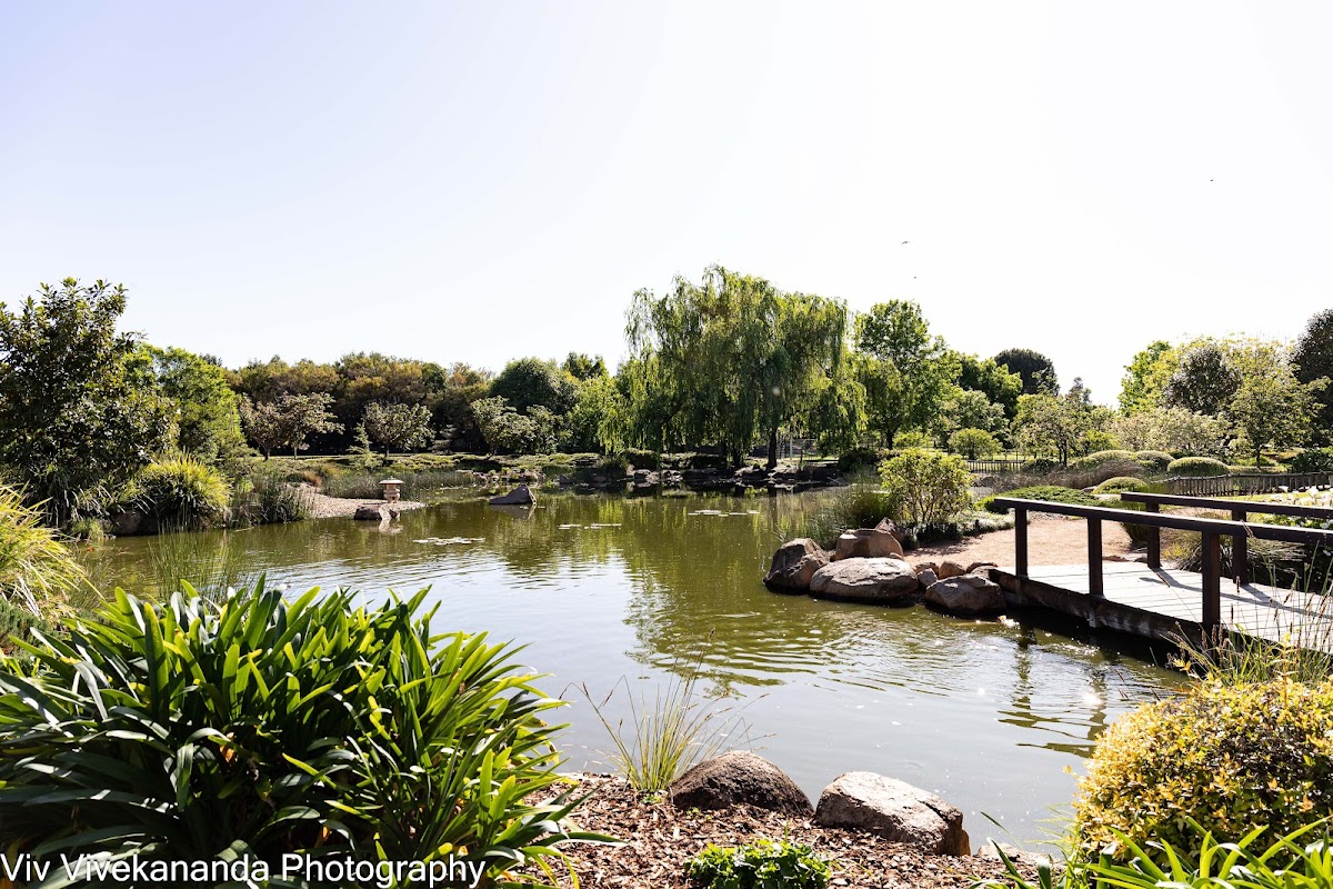 What Makes Dubbo Quietly Romantic