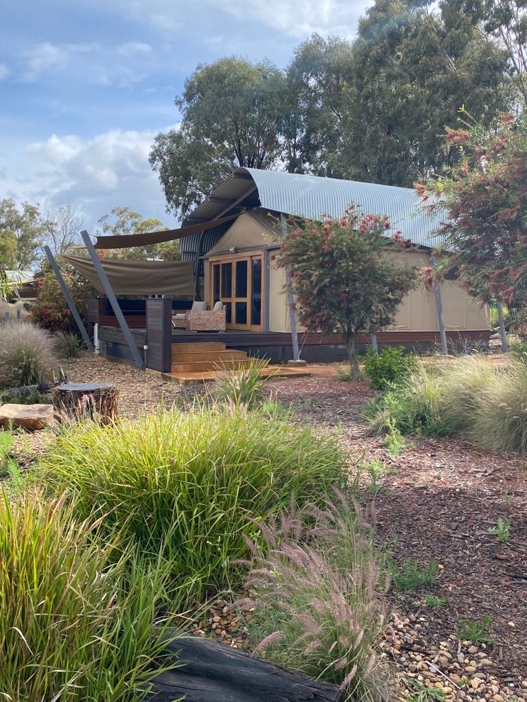 Stay at Zoofari Lodge