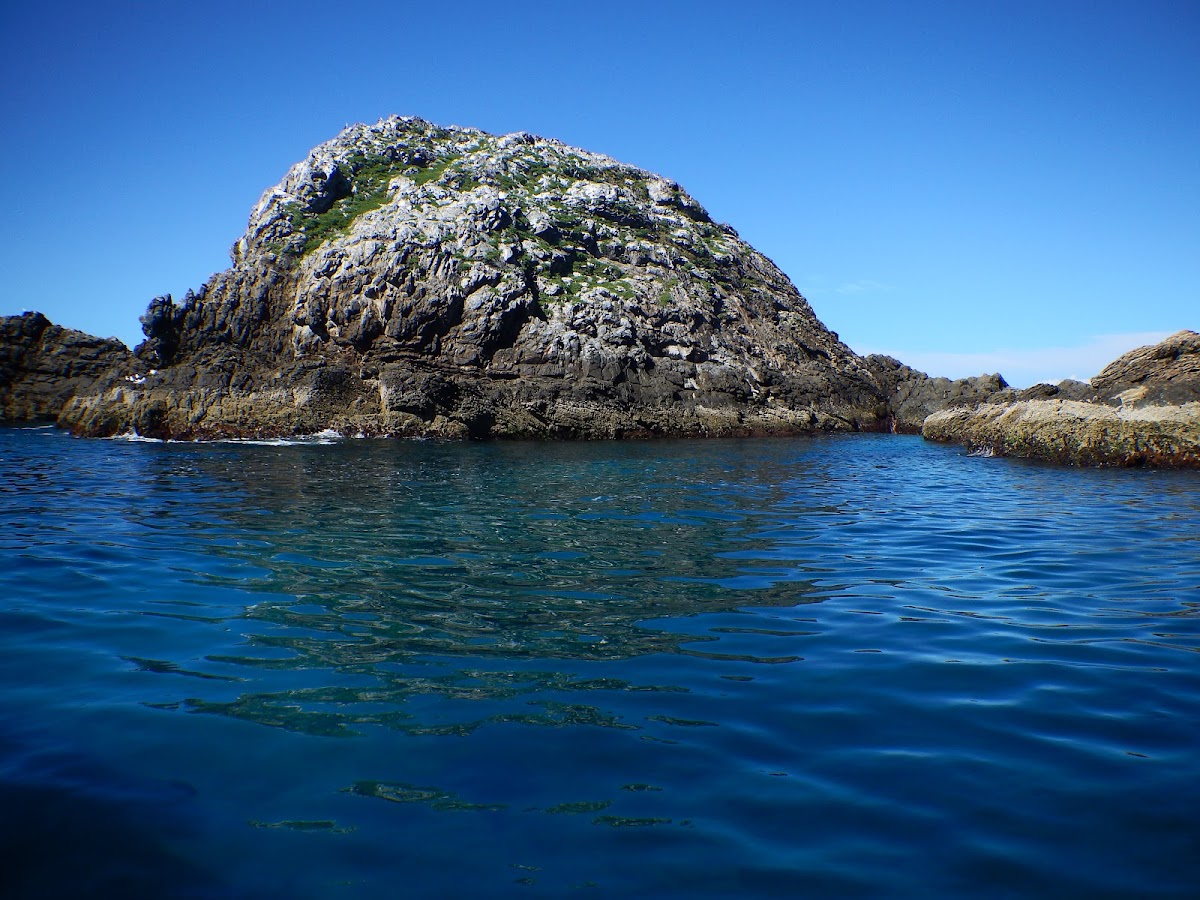 Julian Rocks (Nguthungulli) — The Heart of Diving in Byron Bay