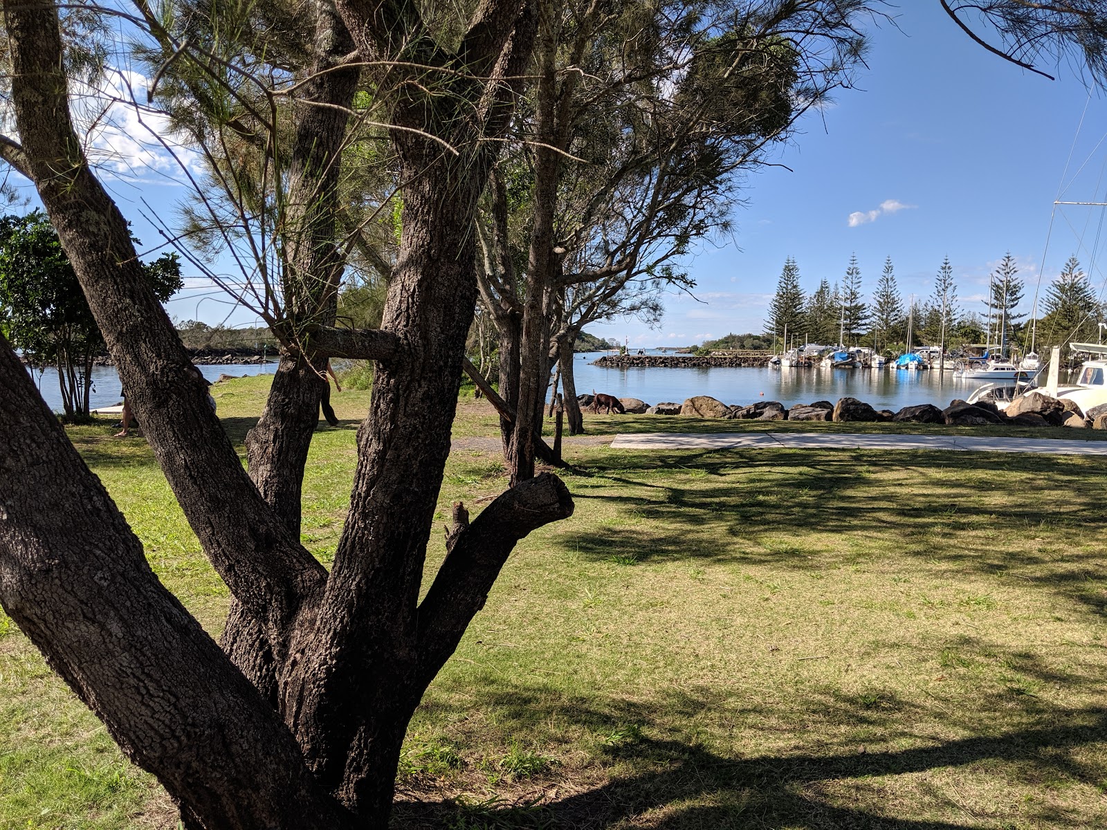 Estuary & river fishing — the Brunswick River and Belongil Creek