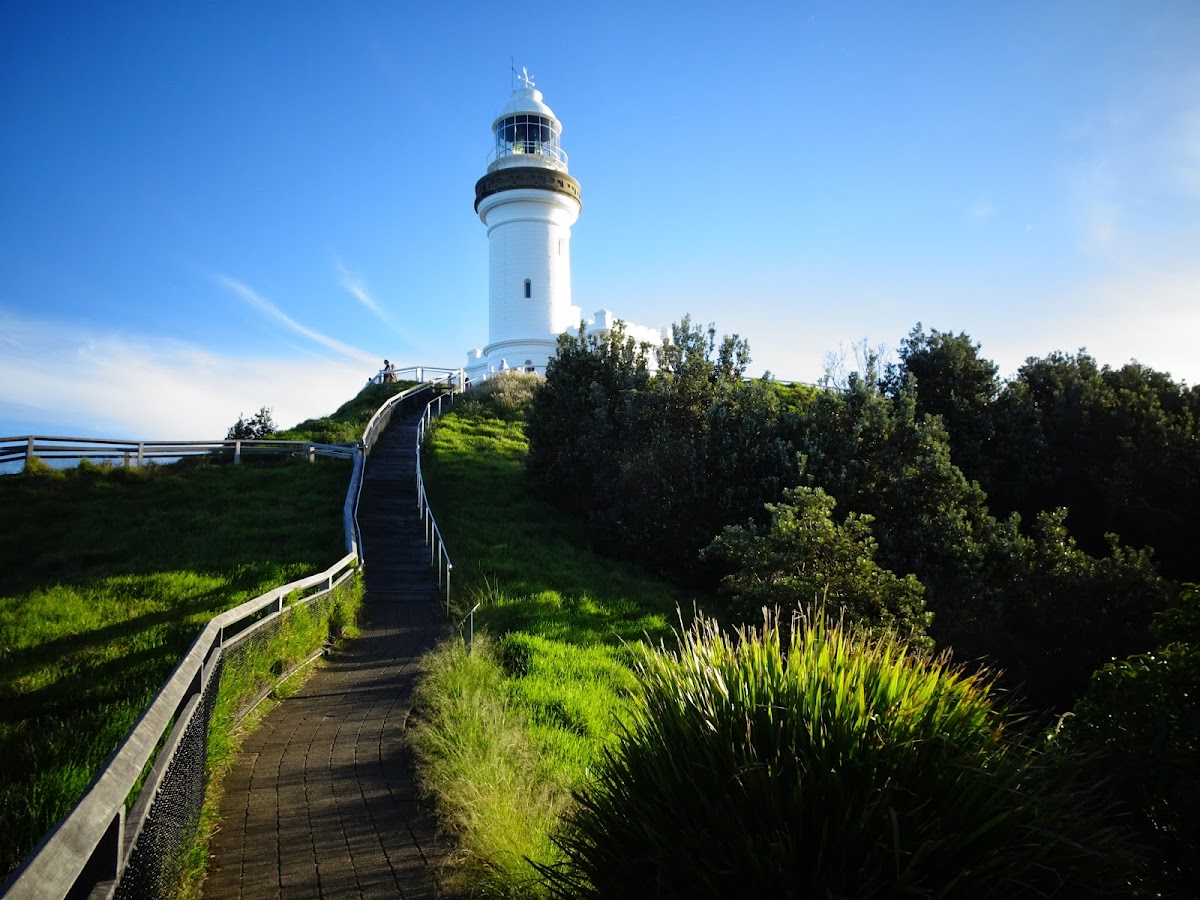 Whale Watching With Family or On Your Own