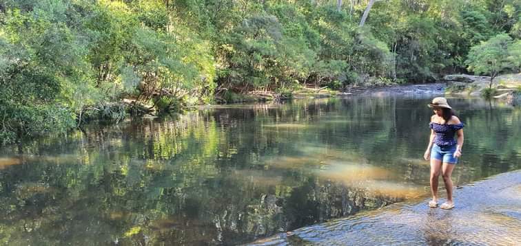 Shoalhaven