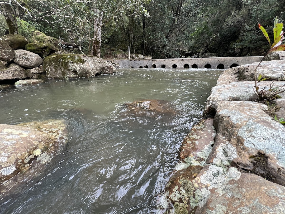 The riverside reserves & swimming