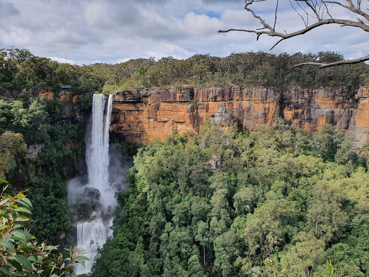 Fitzroy Falls lookouts
