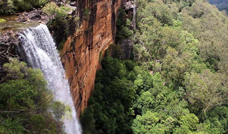 Waterfalls, Walks and the Escarpment