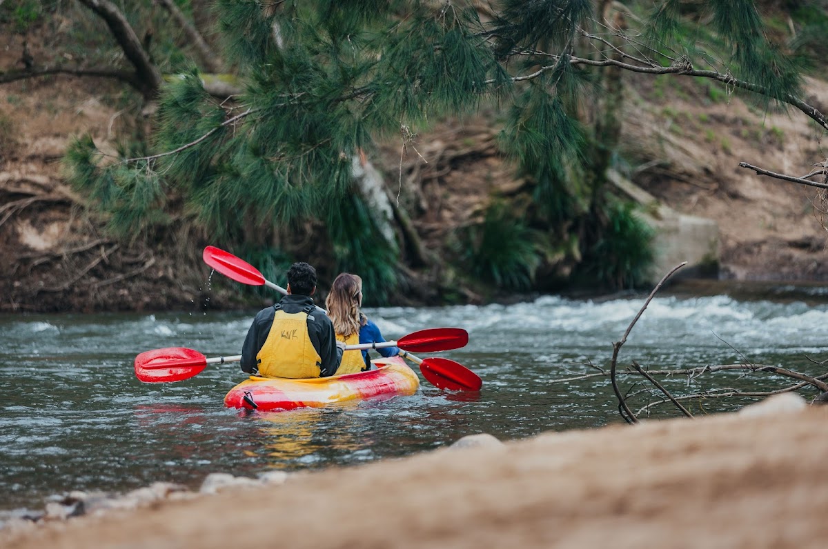 Paddle upstream from Hampden Bridge