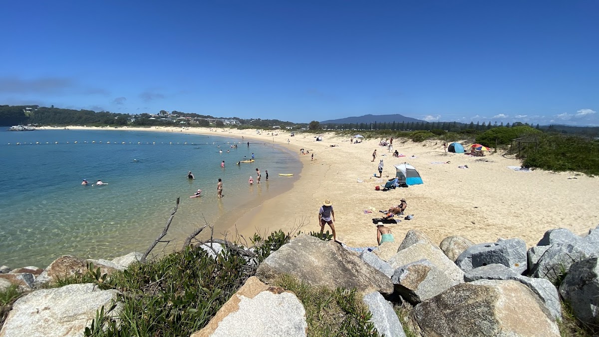 Best Beaches in Narooma: A Complete Guide to the Sapphire Coast’s Most Varied Coastline