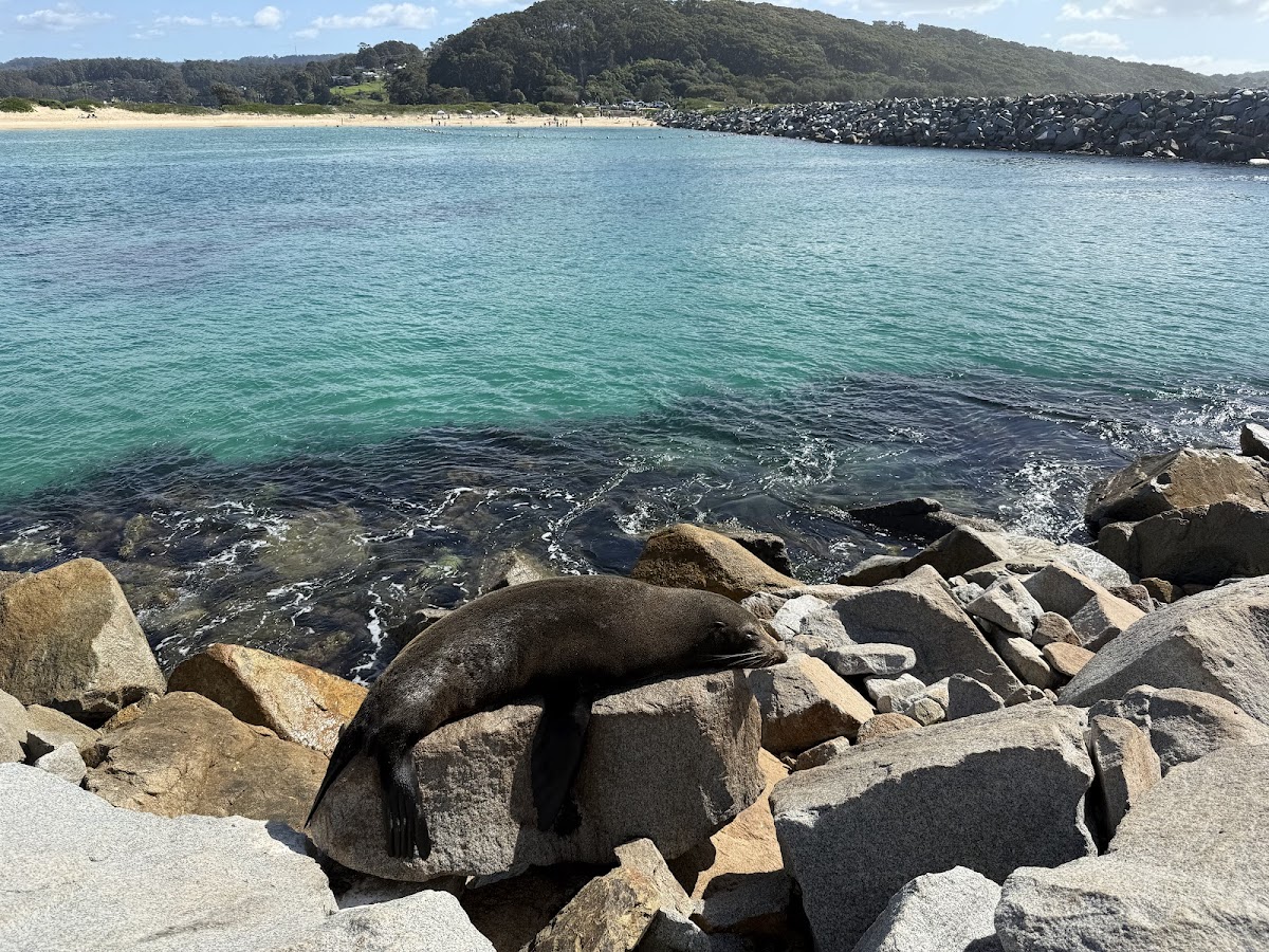 The Bottom Line on Things to Do in Narooma