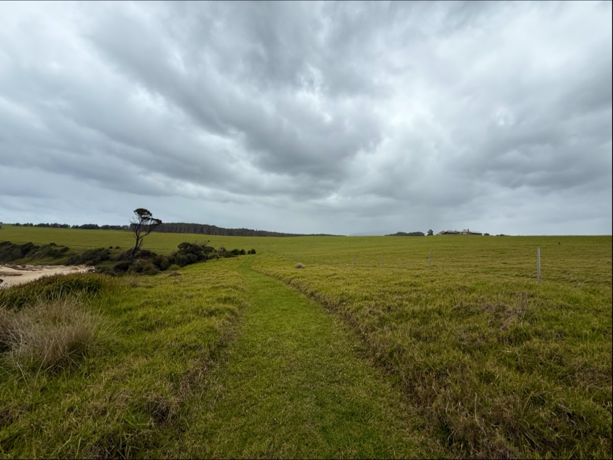 Narooma on Foot — The Best Way to See It