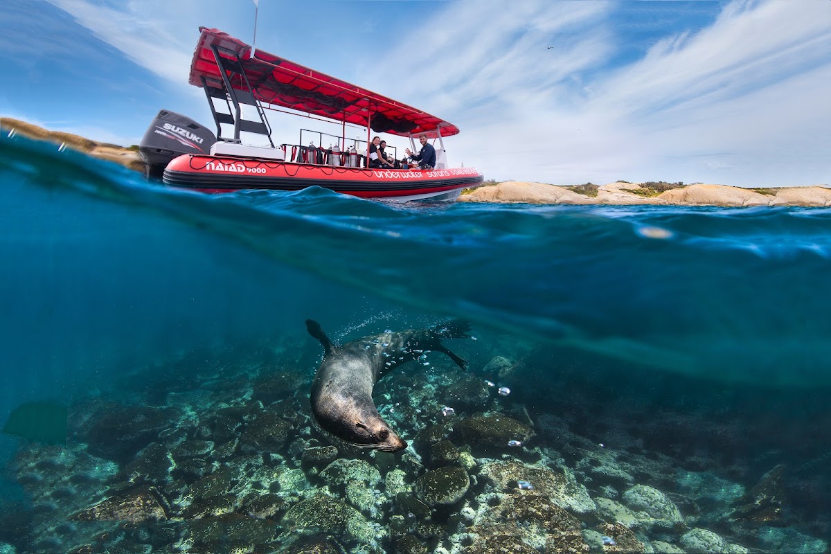 The deeper reefs and kelp beds