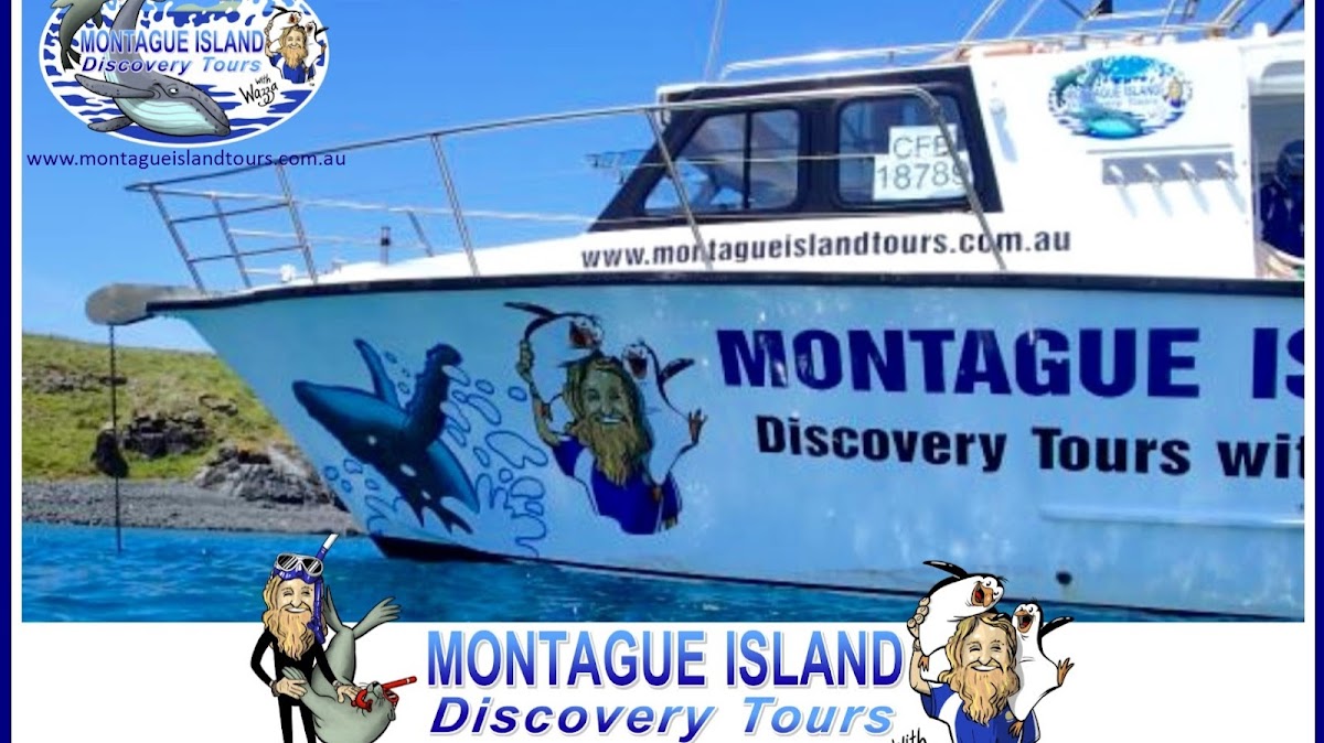 Montague Island — The Heart of Diving in Narooma