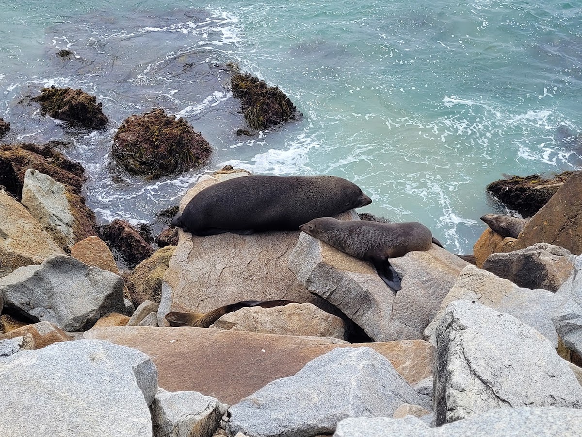 What Narooma Actually Is (and Isn’t)
