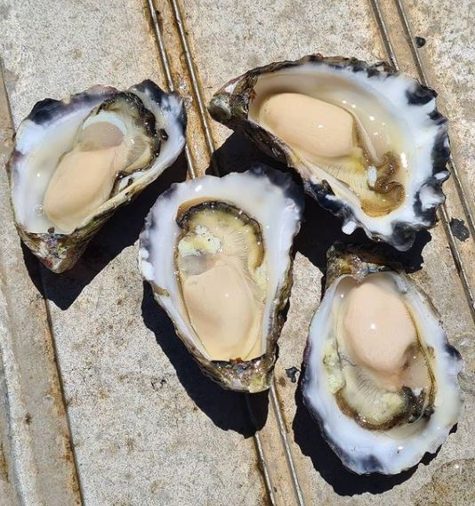 Low-cost extras — oysters, markets & kayak hire