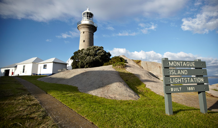 Indoor Activities in Narooma: What to Do When the Weather Turns