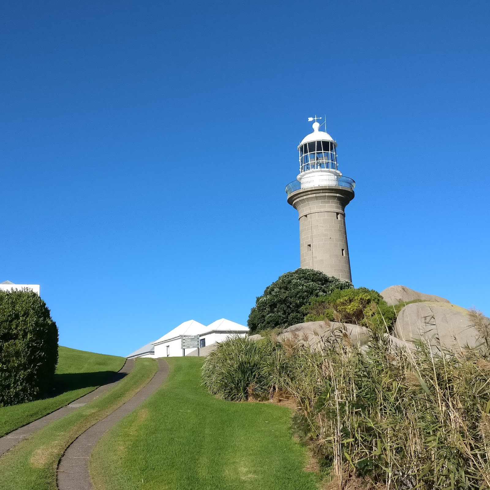 The Wildlife — Seals, Penguins, Whales and Seabirds