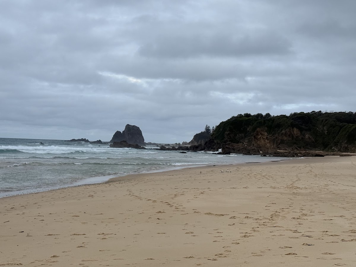 What to Know Before You Paddle Out