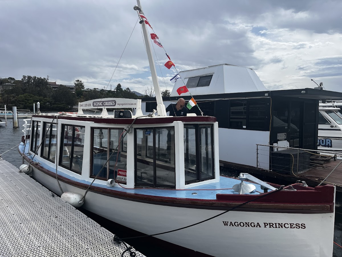 The Bottom Line on Whale Watching Narooma