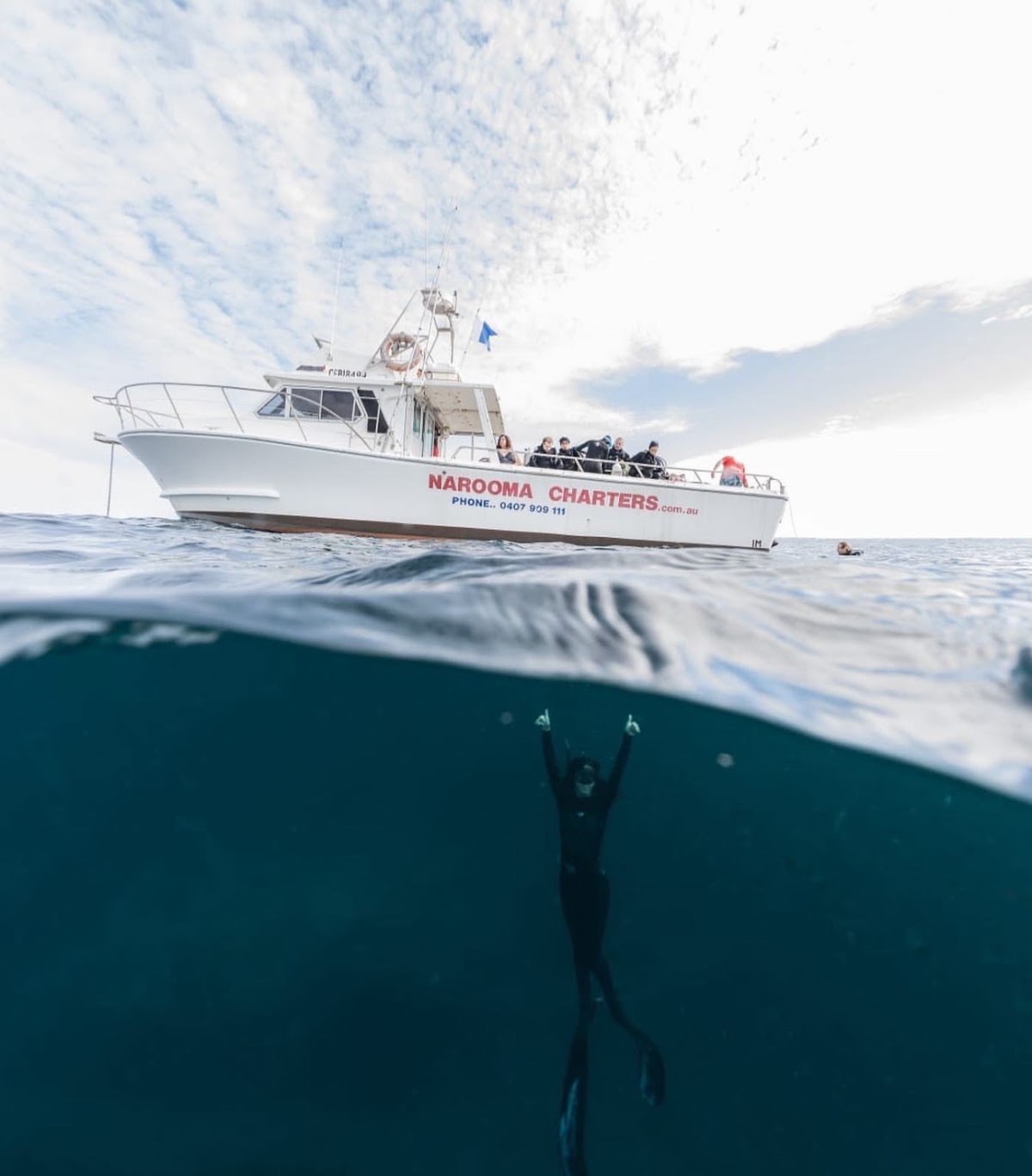 A whale watching boat tour