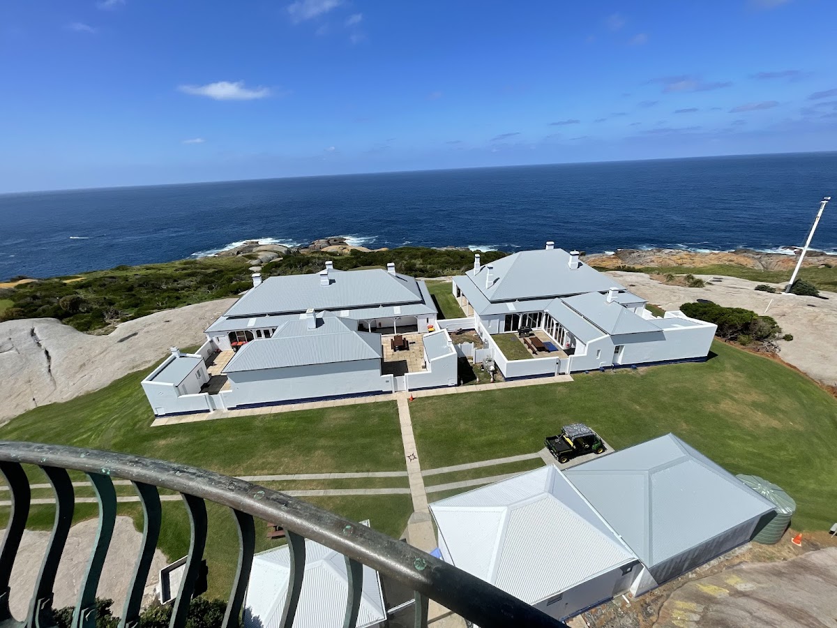 The Narooma Whale Watching Season — When to Go