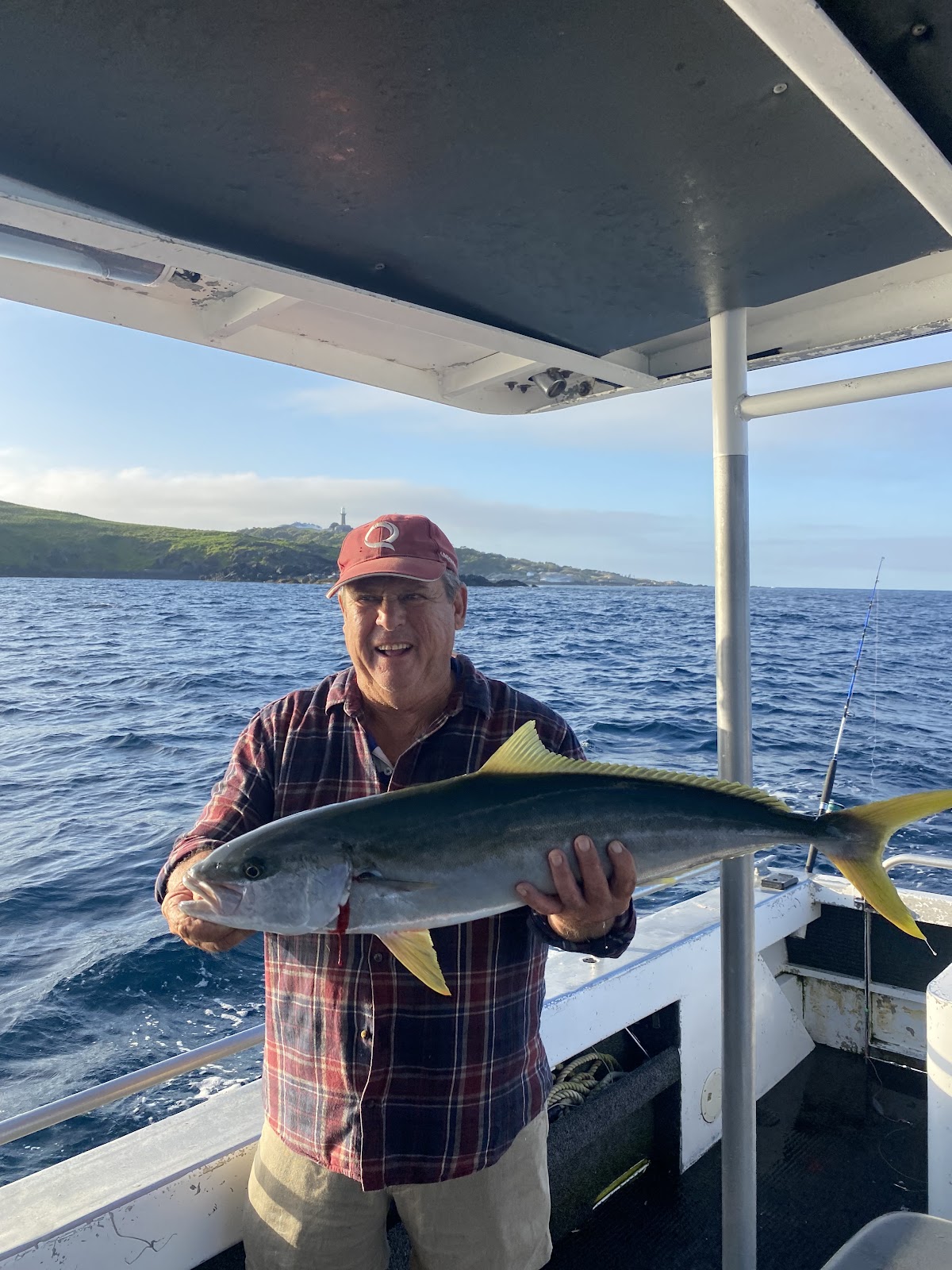Whale Watching With Family or On Your Own