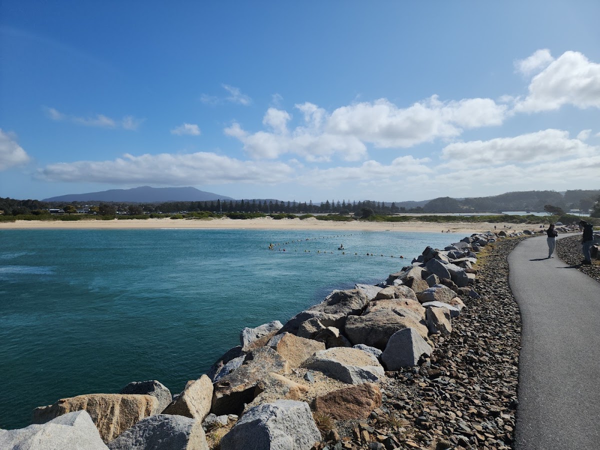 Why Narooma Is One of the Easiest Towns to Do With Kids