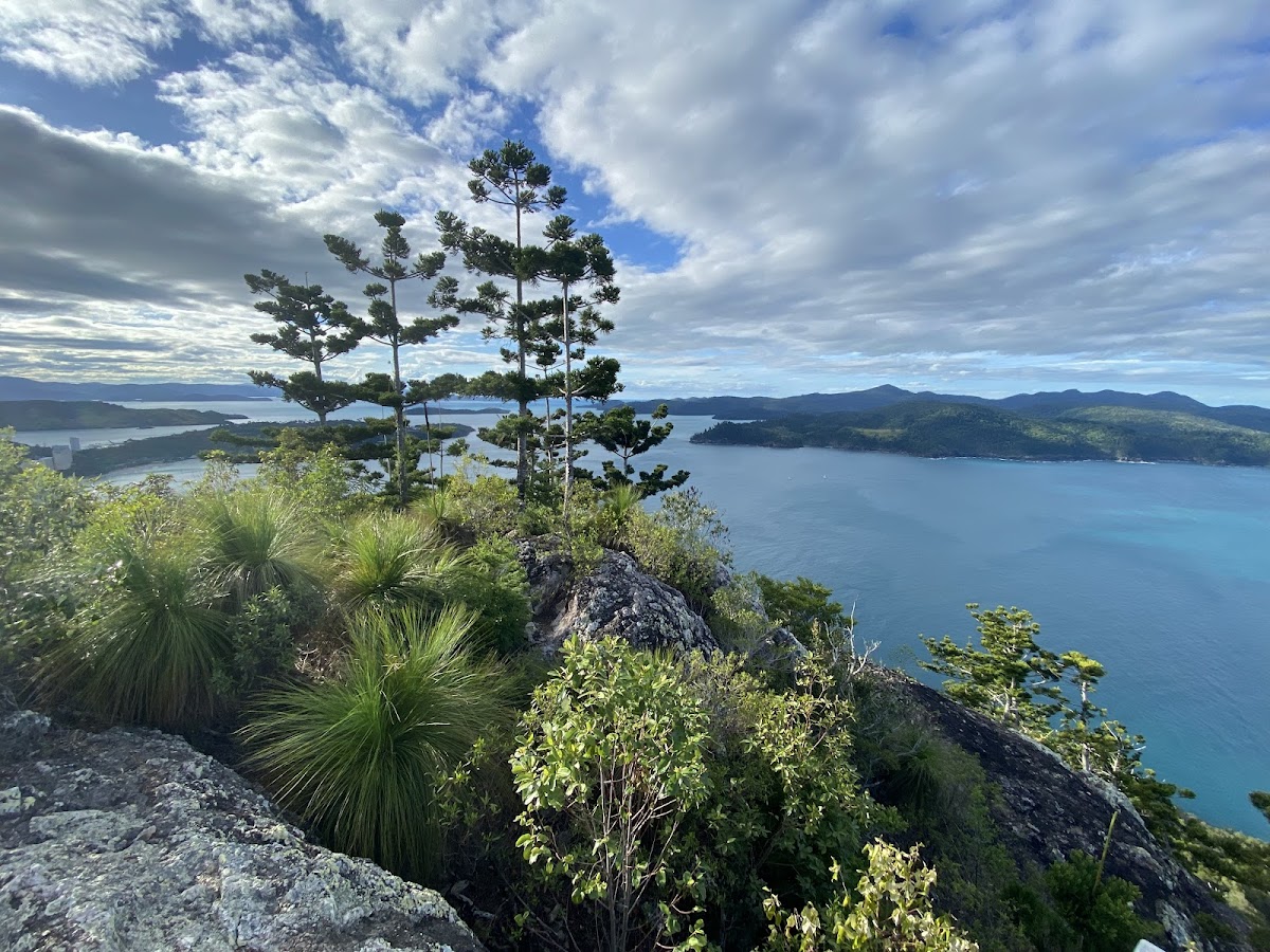 The Bottom Line on Walking Hamilton Island