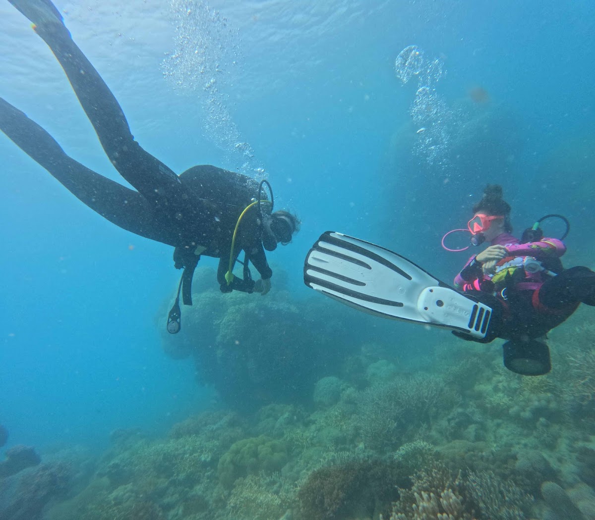 What to Know Before You Dive