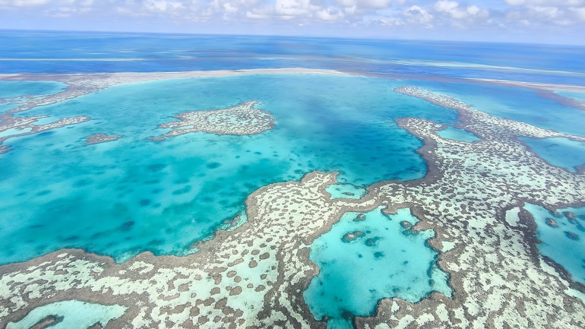 The Bottom Line on Diving Hamilton Island