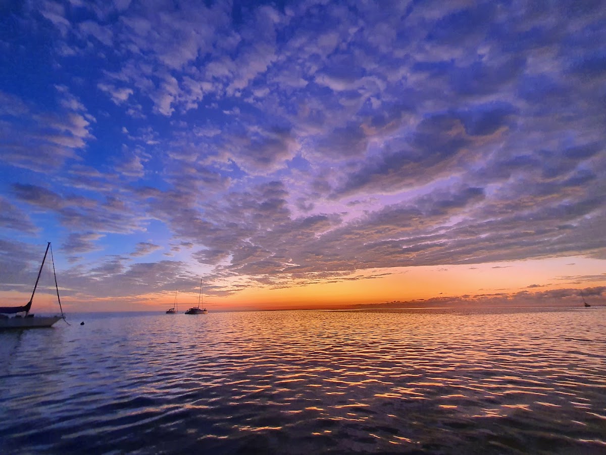 Diving Bait Reef — the outer Great Barrier Reef