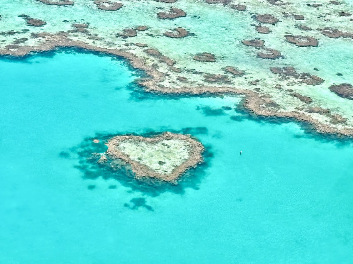 Diving Hardy Reef from the pontoon