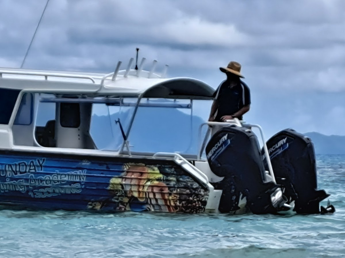 Learning to dive & choosing a dive trip