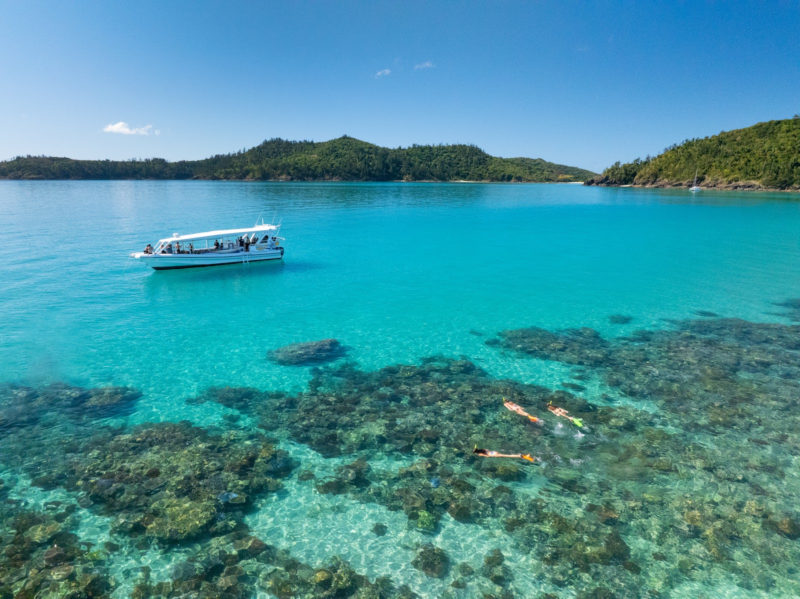 The Bottom Line on Fishing Hamilton Island