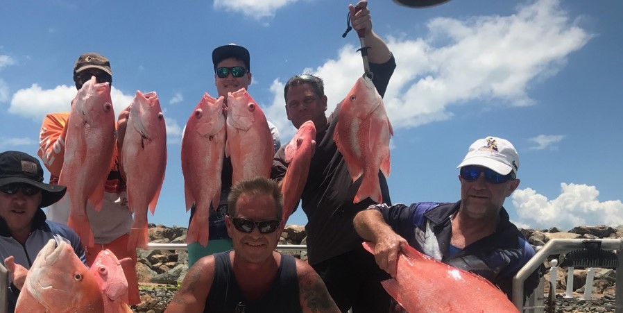Reef bottom-fishing — coral trout, emperor & sweetlip