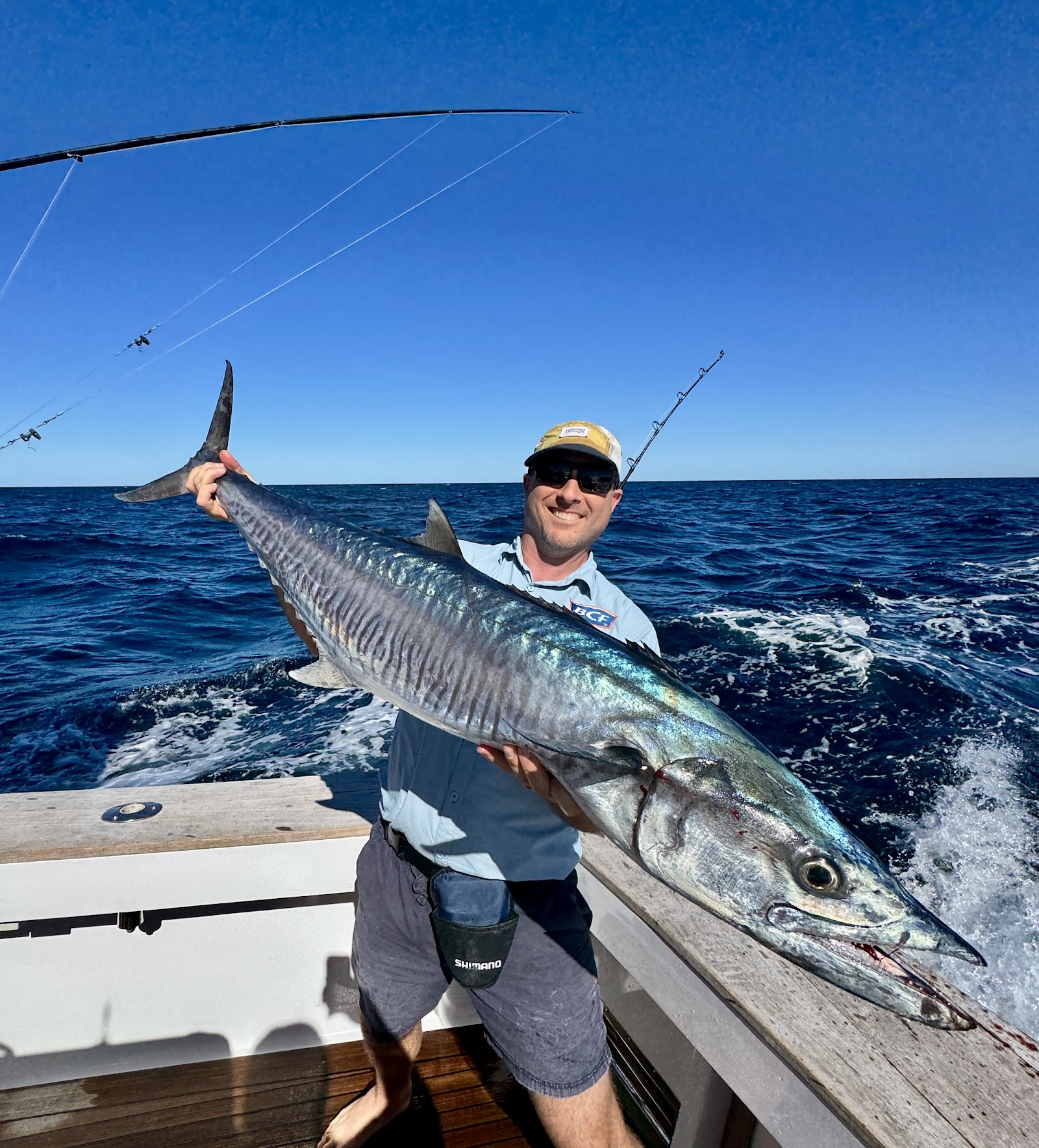 Charters & getting on the water from Hamilton Island Marina