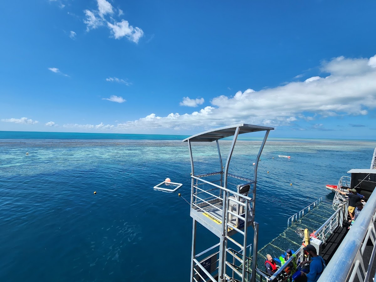 The Bottom Line on the Reef