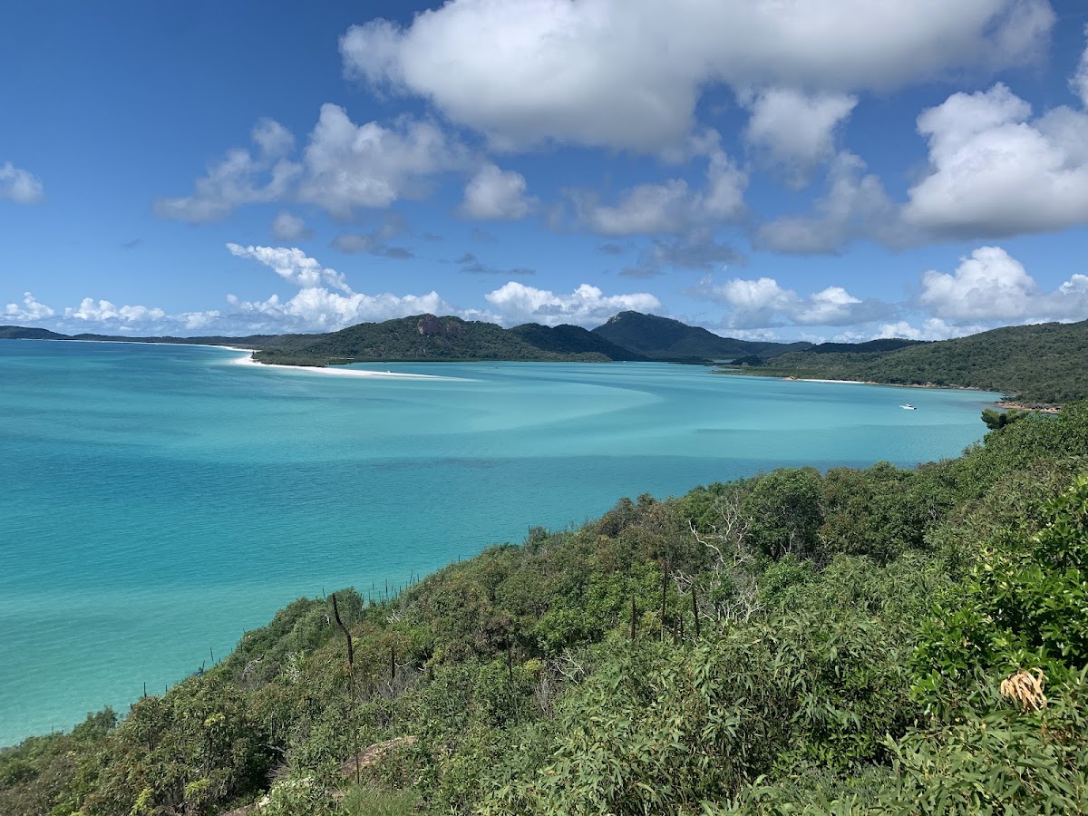 The Bottom Line on Hamilton Island