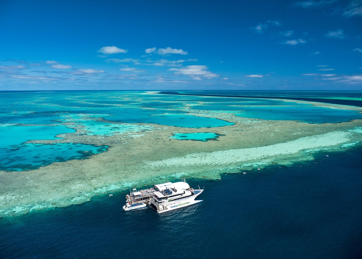 A reef trip on a covered boat