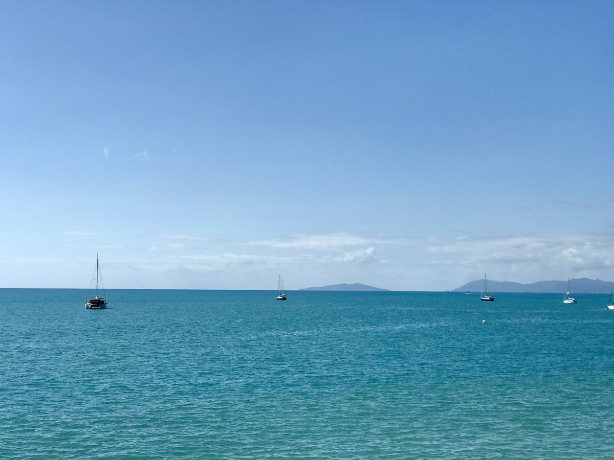 The Whitsundays Whale Season — When to Go