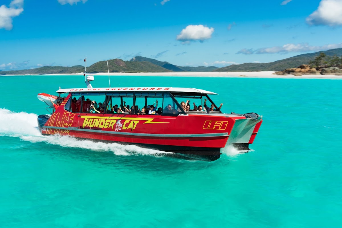 What to Expect on a Whitsundays Whale Watching Trip