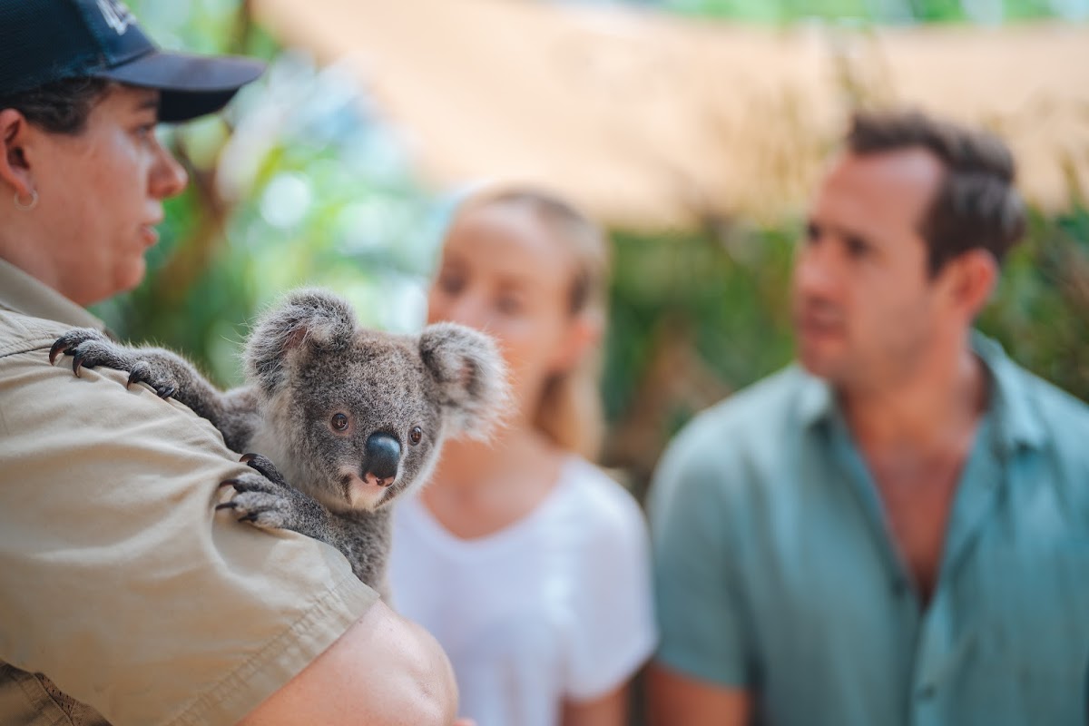 Wild Life Hamilton Island