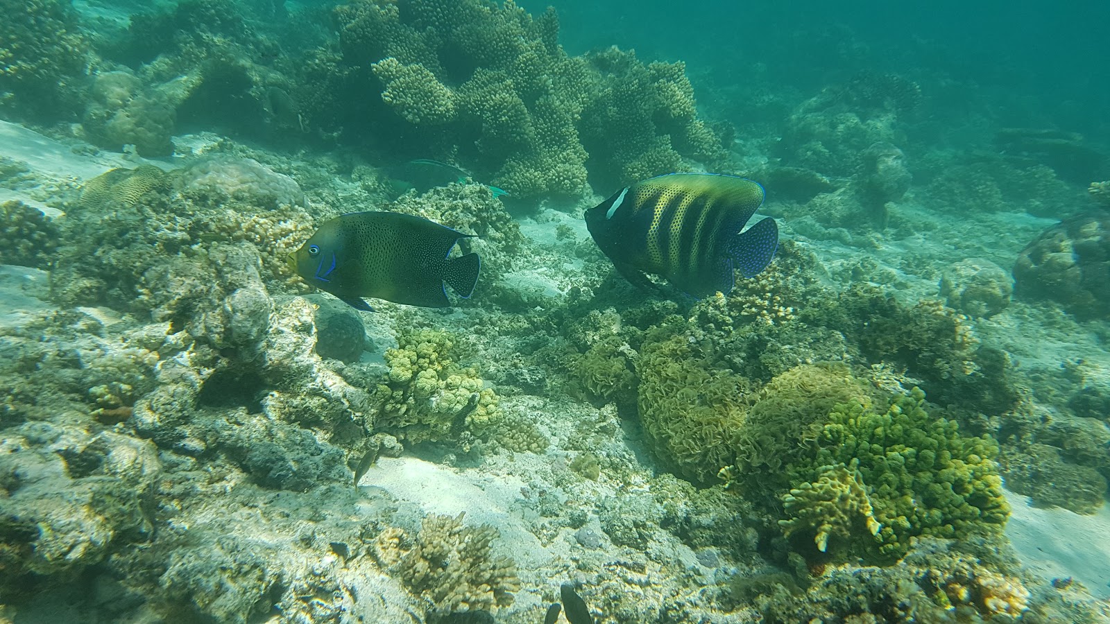 Turquoise Bay