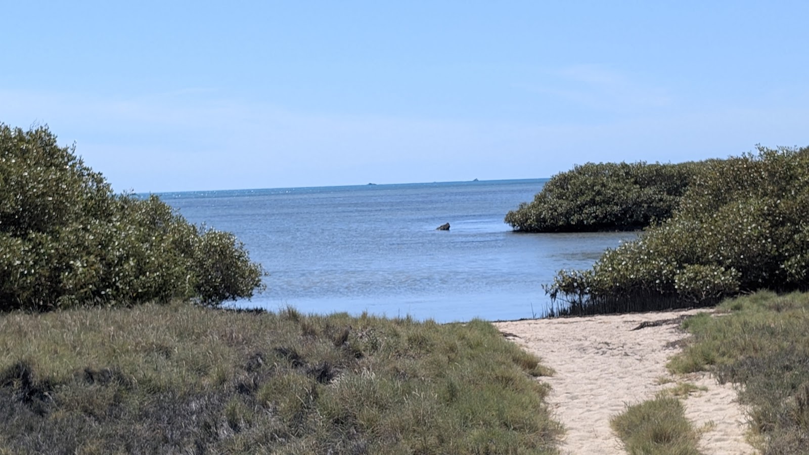Mangrove Bay Bird-Hide Boardwalk