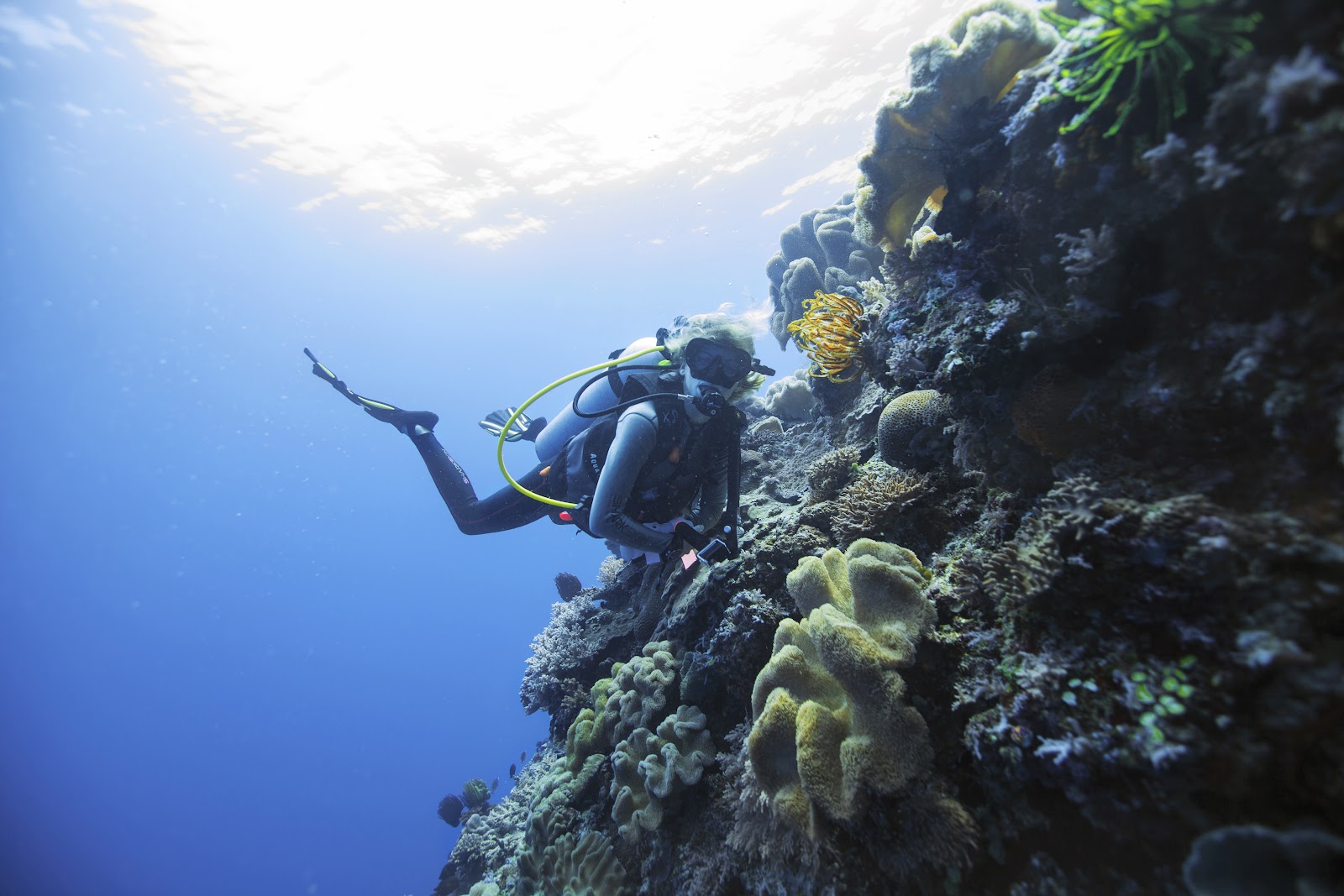 Diving