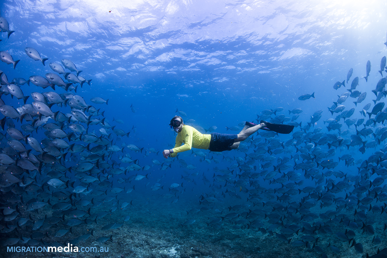 Why Ningaloo Is a Serious Dive Destination