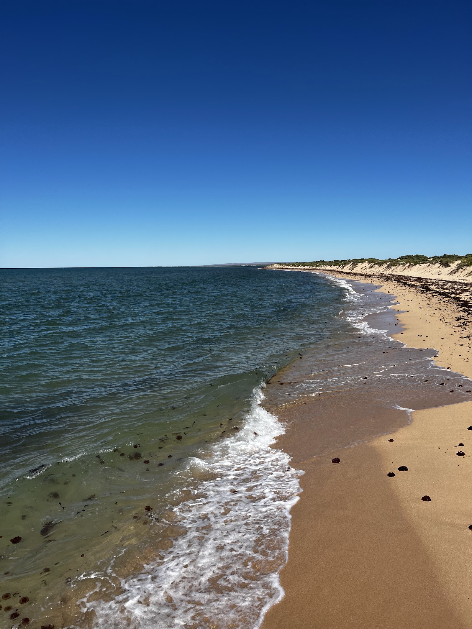 Bundegi boat ramp and beach fishing