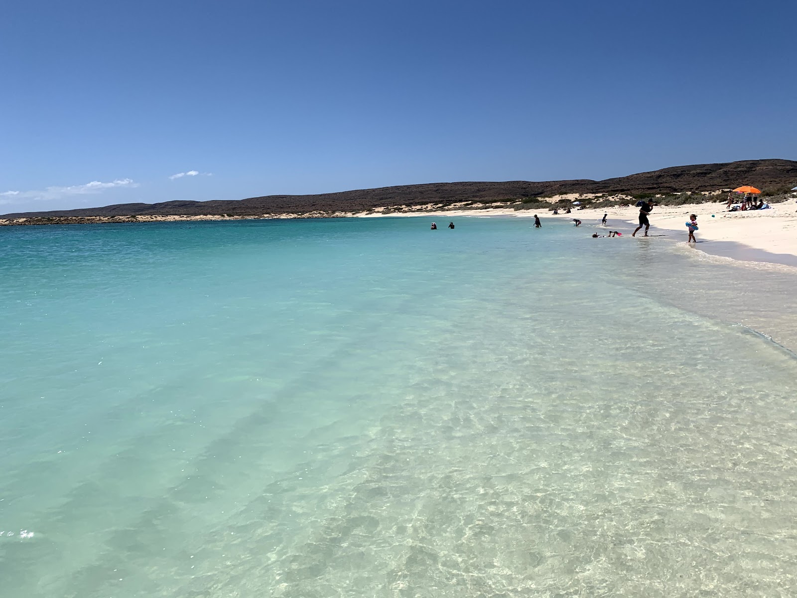 The Free Version of Ningaloo Is the Reason Most People Come